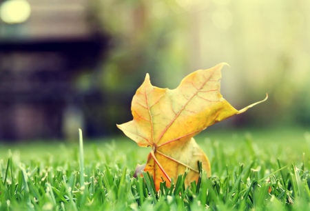 ĵ��������ͤ��