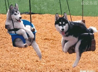 恶搞评论别人的说说,评论说说的搞笑句子 恶搞评论别人的说说,评论说说的搞笑句子