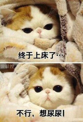 关于天冷的搞笑说说,形容天气冷的幽默句子 关于天冷的搞笑说说,形容天气冷的幽默句子