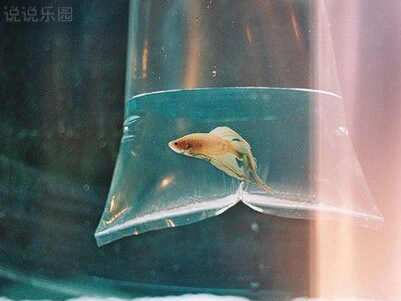 伤心说说配图片大全3 伤心说说配图片大全3