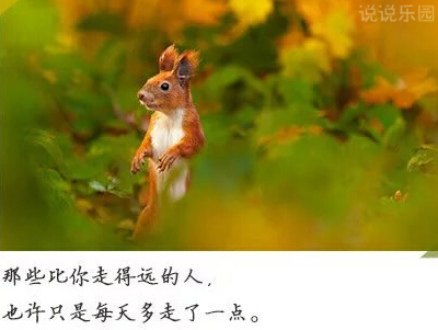 励志说说文字图片,励志图片带字大全10 励志说说文字图片,励志图片带字大全10