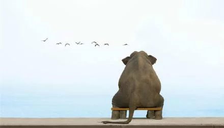 QQ空间伤感图片说说13 QQ空间伤感图片说说13