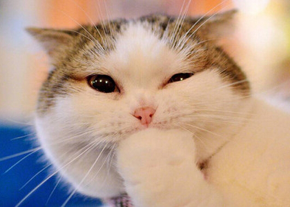 最新微信点开全文段子,朋友圈点开全文搞笑段子 最新微信点开全文段子,朋友圈点开全文搞笑段子