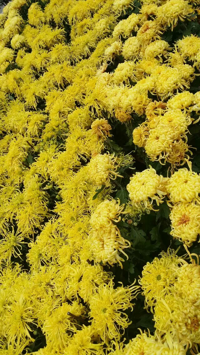 ���գ�ԭ��С˵��