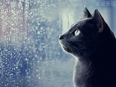 �˸�˵˵��ͼƬ���Լ�6