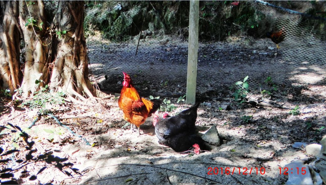 ���ܲ�Ϊ֮�п���Ϊ֮���У�