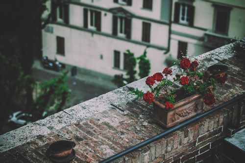 说说心情短语爱情感悟带图片 说说心情短语爱情感悟带图片