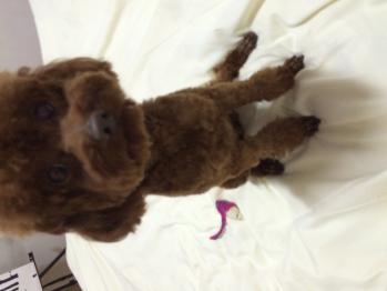 ���������ʺ�˵˵