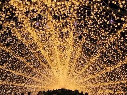 ���ڲ���ƽ��˵˵����