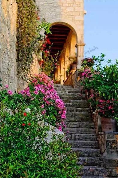 ҹ��˯ǰ����˵˵