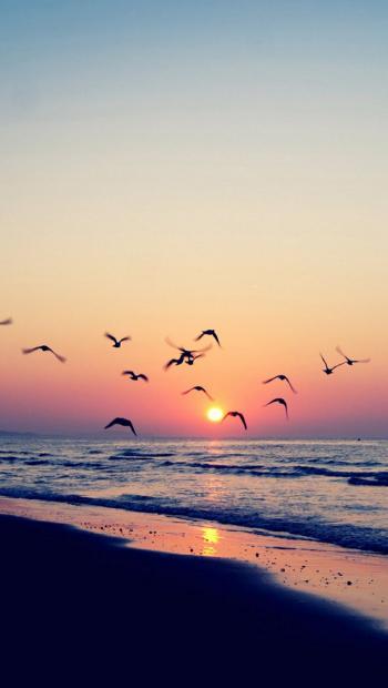 想喝酒的心情说说签名 想喝酒的心情说说签名