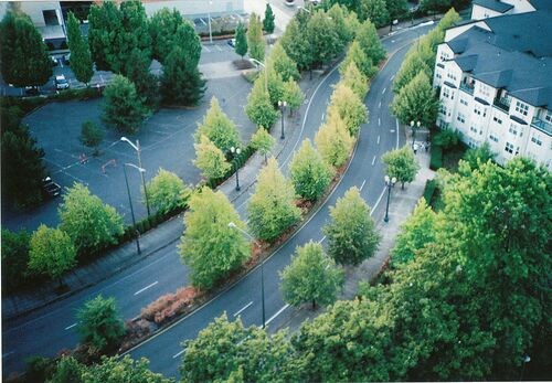 珍惜亲情的句子说说心情 珍惜亲情的句子说说心情