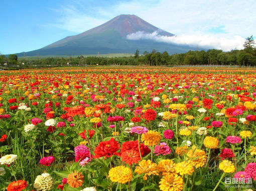 解脱的句子说说心情 解脱的句子说说心情