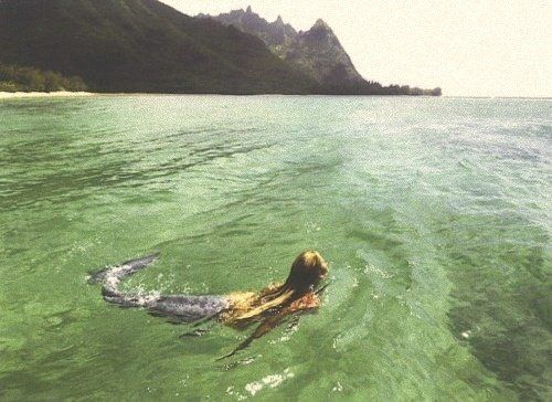 �����˵˵�������