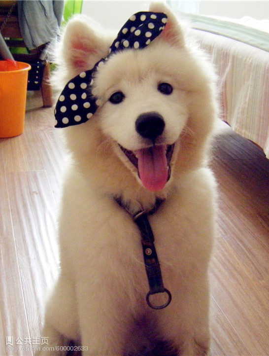 ������־��˵˵�̾���