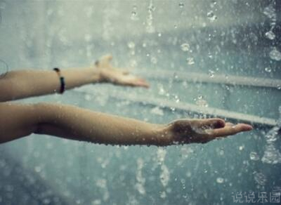 ���������˵˵����������ľ���