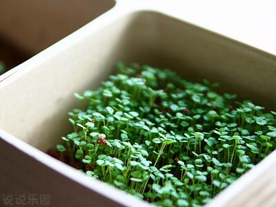 ����˵˵��������ȫ