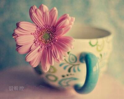 QQ˵˵�������