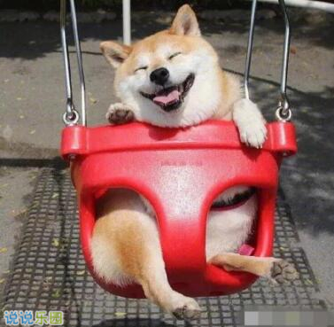 QQ空间搞笑图片说说2 QQ空间搞笑图片说说2