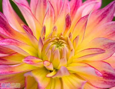 ���ﰮ���˵˵