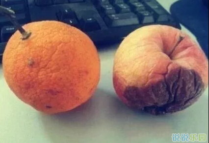 ˵˵��������ͼƬ9