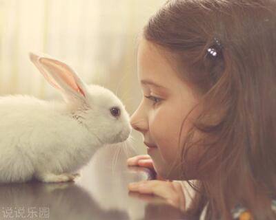 ˵˵��������ͼƬ6