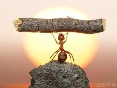 QQ空间励志说说带图片,QQ空间说说励志配图12 QQ空间励志说说带图片,QQ空间说说励志配图12