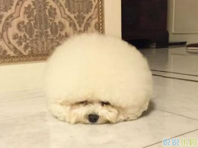 ��Ĭ˵˵��ȫ��ͼƬ2