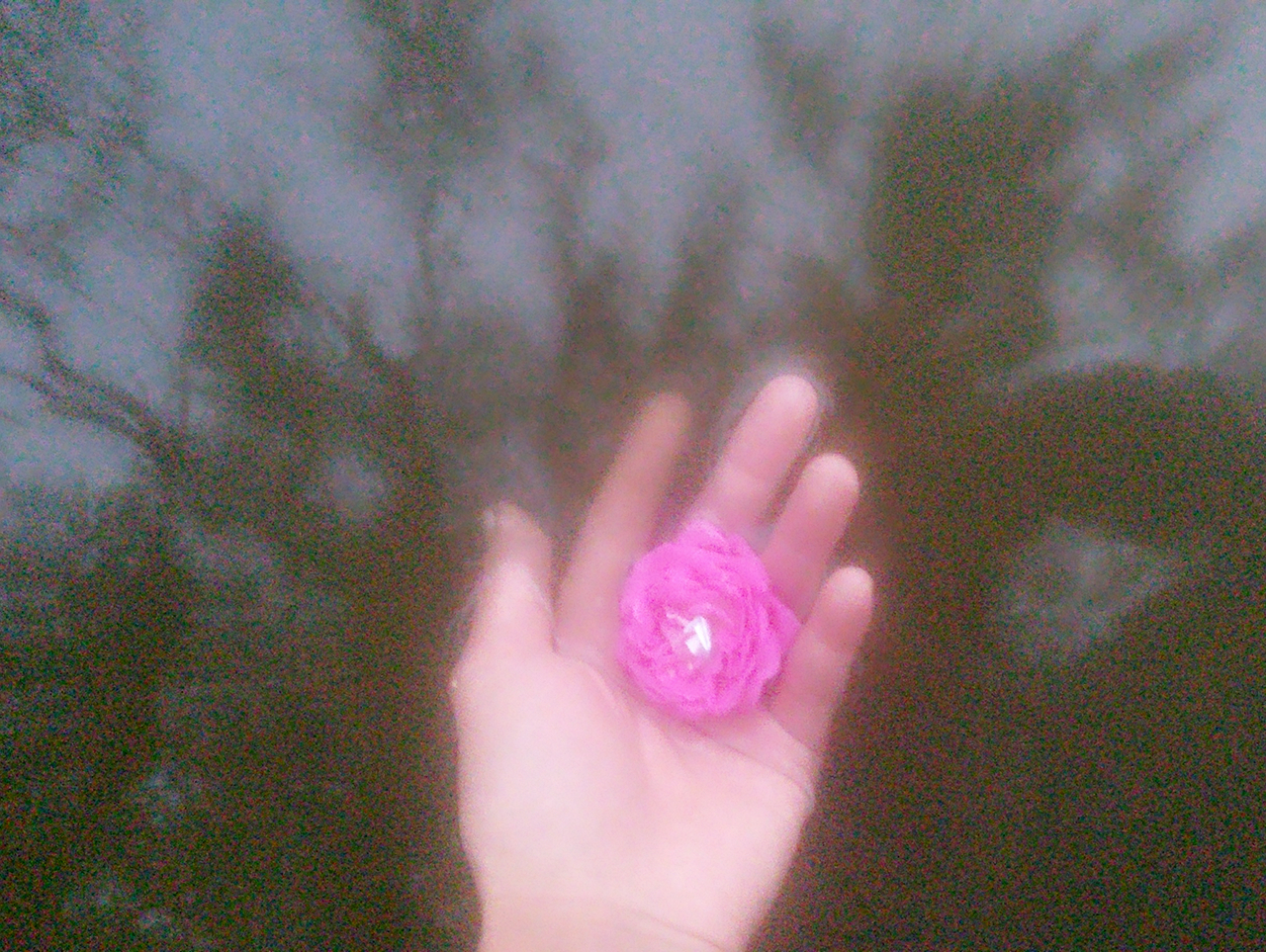 ���������š��