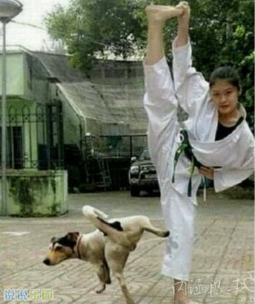 ��Ĭ˵˵��ȫ��ͼƬ14