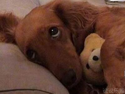 ��Ĭ˵˵��ȫ��ͼƬ1