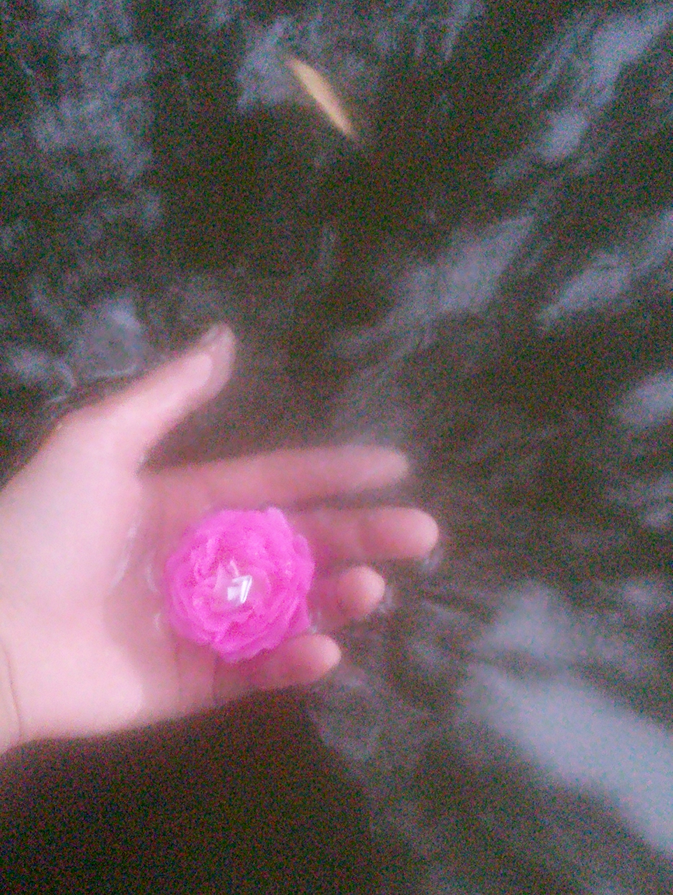 ���������š��ޡ�