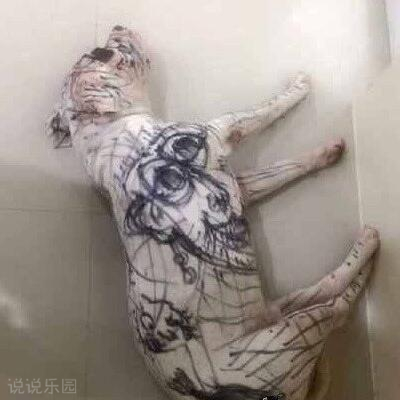 ��Ĭ˵˵��ȫ��ͼƬ7