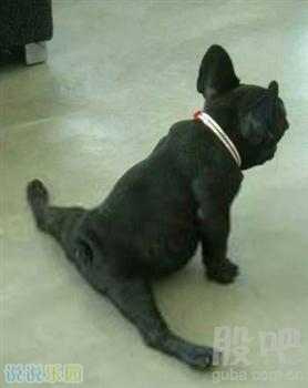 ��Ĭ˵˵��ȫ��ͼƬ6