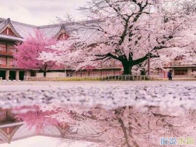 唯美说说配图片,唯美说说心情短语配图3 唯美说说配图片,唯美说说心情短语配图3