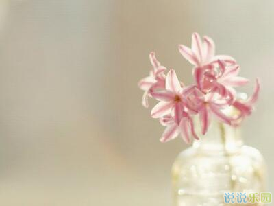 唯美说说配图片,唯美说说心情短语配图2 唯美说说配图片,唯美说说心情短语配图2