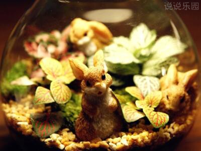 唯美说说配图片,唯美说说心情短语配图7 唯美说说配图片,唯美说说心情短语配图7