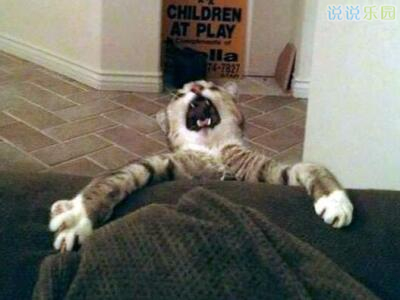 QQ����˵˵��ͼ8