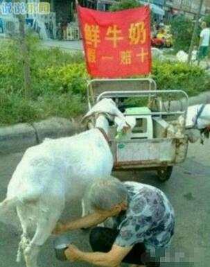 QQ����˵˵��ͼ9