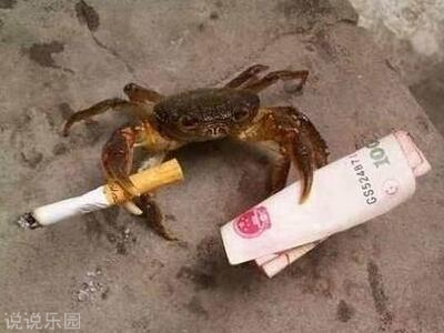 微信搞笑说说带图片,朋友圈搞笑段子加配图8 微信搞笑说说带图片,朋友圈搞笑段子加配图8