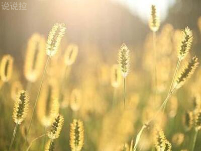 ����˵˵���Լ������Լ��ľ���˵˵