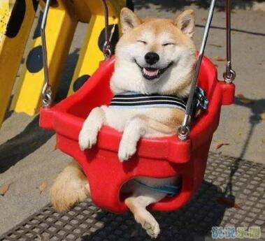 微信搞笑说说带图片,朋友圈搞笑段子加配图13 微信搞笑说说带图片,朋友圈搞笑段子加配图13