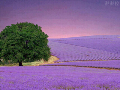 一句话心情说说,一句话心情语录 一句话心情说说,一句话心情语录