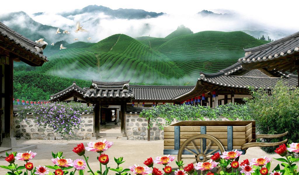 ��������