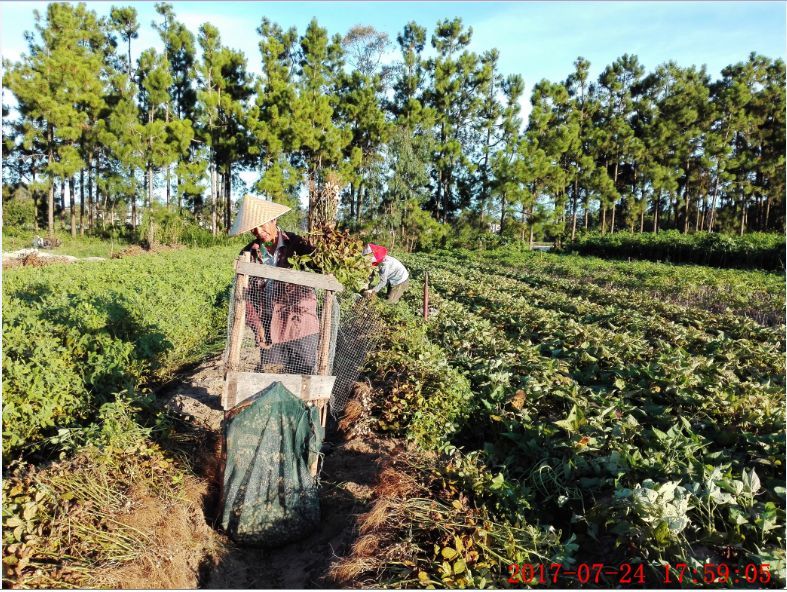 ���������һ��æµ�ļ���