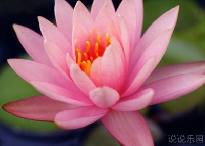 人生感悟的说说,说说心情短语人生感悟 人生感悟的说说,说说心情短语人生感悟