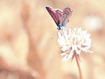 �ܻ���޵Ŀռ�˵˵