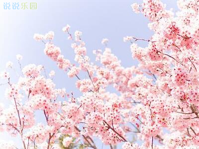 文艺简短说说配图,女生文艺风说说配图4 文艺简短说说配图,女生文艺风说说配图4