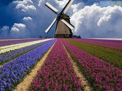 ��־������˵˵��ͼƬ9