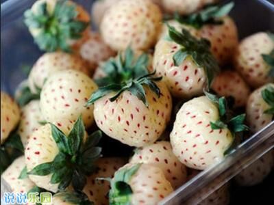 ��������˵˵��ͼƬ���Ҹ���˵˵��ͼƬ2